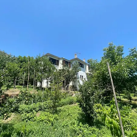 Casa 度假居 *