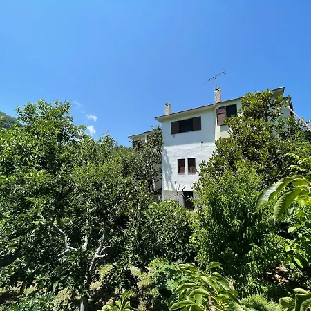 Casa *